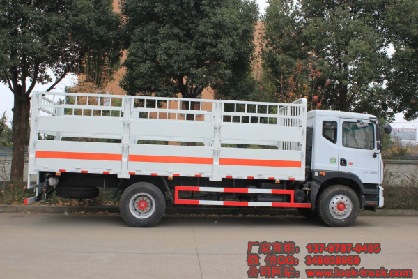 東風(fēng)D9氣瓶運(yùn)輸車4 (2).jpg