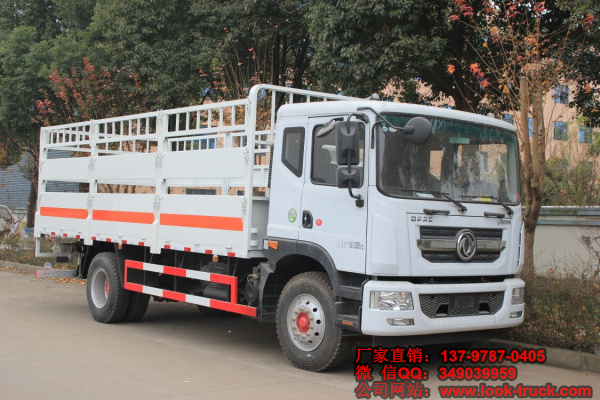 東風(fēng)D9氣瓶運(yùn)輸車2 (1).jpg