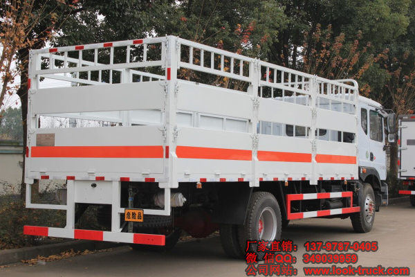 東風(fēng)D9氣瓶運(yùn)輸車4 (1).jpg